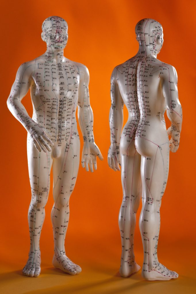 Acupuncture Models showing the meridian lines - Acupuncture is a system of complementary medicine
